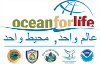 Ocean for Life logo