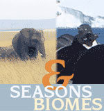 Seasons and Biomes image showing an elephant and other animals.
