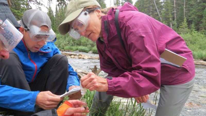 Three people in goggles work with test tubes by a river.