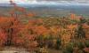 Overlooking a forest of fall colors
