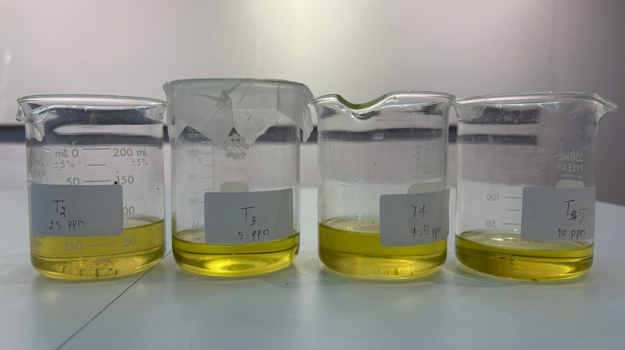 Tinospora crispa extract is effective in controlling mosquito larvae.
