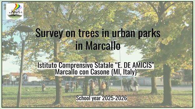 Students measuring trees