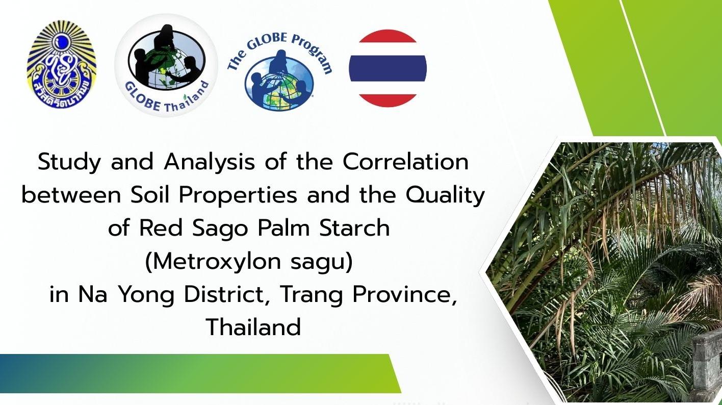 Study and Analysis of the Correlation between Soil Properties and the Quality of Red Sago Palm Starch (Metroxylon sagu) in Na Yong District, Trang Province, Thailand