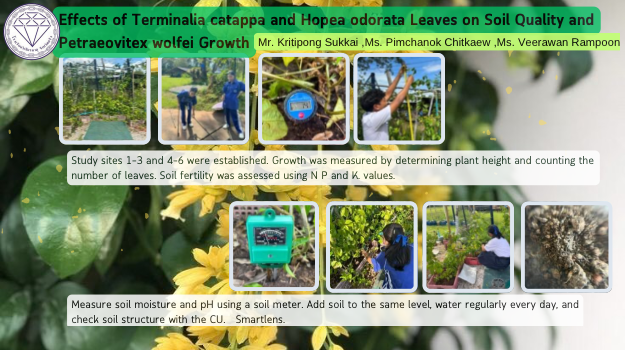 Study sites 1–3 and 4–6 were established. Growth was measured by determining plant height and counting the number of leaves. Soil fertility was assessed using N P and K. values.       Measure soil moisture and pH using a soil meter. Add soil to the same level, water regularly every day, and check soil structure with the CU.   Smartlens.