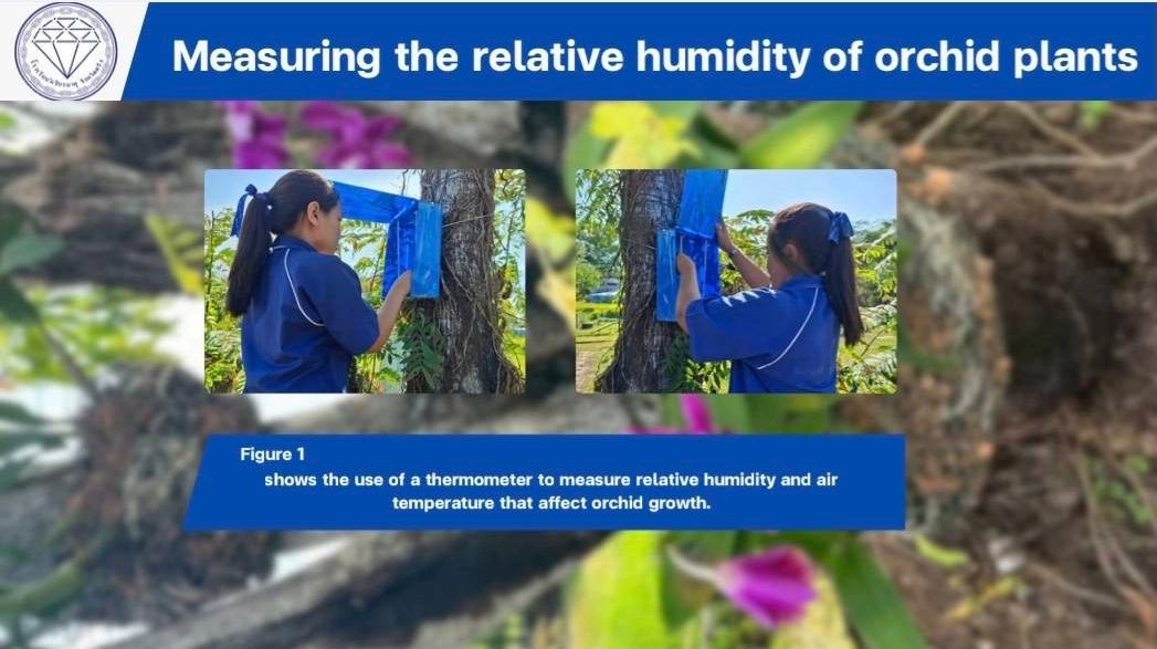 shows the use of a thermometer to measure relative humidity and air temperature that affect orchid growth.