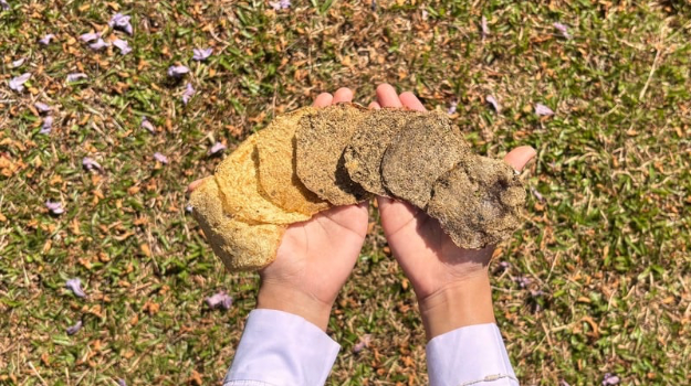 Bioabsorbent made from water hyacinth and azolla for wastewater treatment from rubber factories.