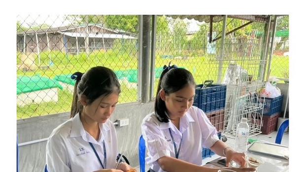 Under the supervision of the advisor, the students conducted a study on soil quality around the large Ram Yai tree at the Trang Agricultural Research and Development Center, Palian District, Trang Province. The study involved measuring the soil’s acidity–alkalinity (pH). In addition, soil temperature and moisture were measured to assess the suitability of the soil conditions in the area surrounding the tree.