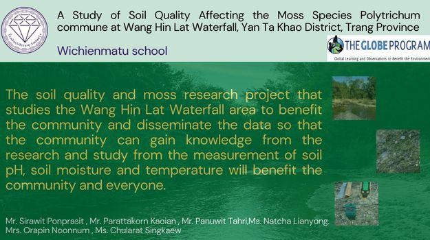 • Objective: To study the impact of soil pH, moisture, and temperature on Polytrichum commune moss. • Location: Three sites at Wang Hin Lat Waterfall, Trang Province: Waterfall Level 1, stream area, and canal area. • Process: Conducted from September 2025 to January 2026 using GLOBE Protocols. The team collected soil samples at a 10 cm depth and measured parameters using a pH meter, moisture meter, and soil thermometer. • Result: Data showed the stream below the dam had the highest moisture (2.3%) and temperature (28.3°C), while pH levels remained stable (7.47–7.63) across all sites.