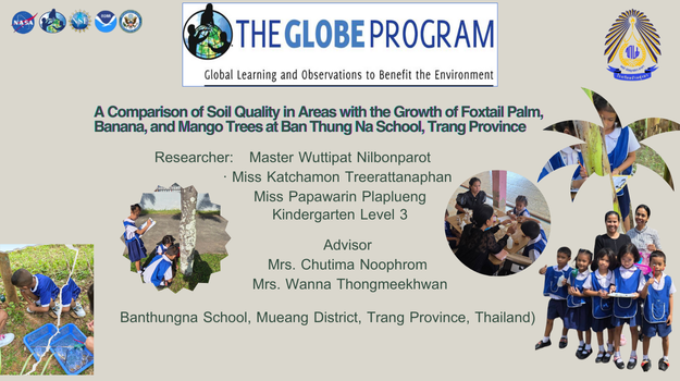 Soil moisture under mango trees was the highest due to canopy coverage and proximity to a water source, while soil under foxtail palm trees had the lowest moisture due to exposure to direct sunlight. Soil temperature showed an inverse relationship with moisture. Soil pH values were similar across all sites and reflected the same geological soil group.