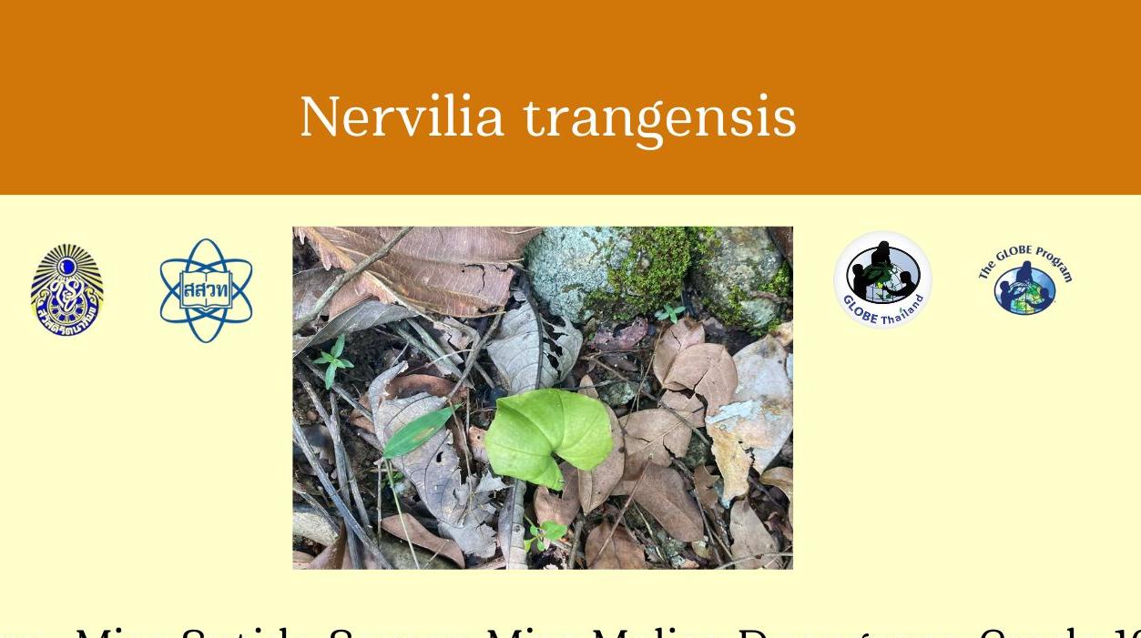 A Comparative Study of Soil Properties Affecting the Population Density of Nervilia trangensis in Ton Noi and Ton Pliu Waterfall Areas, Kachong Sub-district, Na Yong District, Trang Province