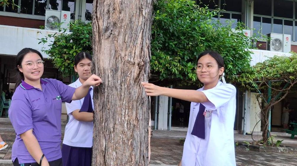 The survey includes all existing and planted perennial trees with a height exceeding 1.50 meters. Inclusion is limited to trees with a Diameter at Breast Height (DBH)—measured at 1.30 meters above ground—of more than 4.5 centimeters, or a circumference of 14.50 centimeters and above.