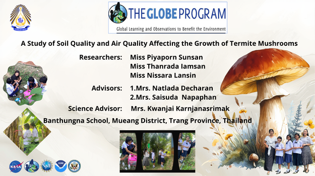 Students are conducting an environmental science study on soil and air quality affecting the growth of termite mushrooms at Ban Thung Na School, Trang Province. Tree-covered areas have granular soil structure, lower soil and air temperatures, and higher soil moisture and relative humidity than open areas, resulting in a higher density of termite mushrooms.
