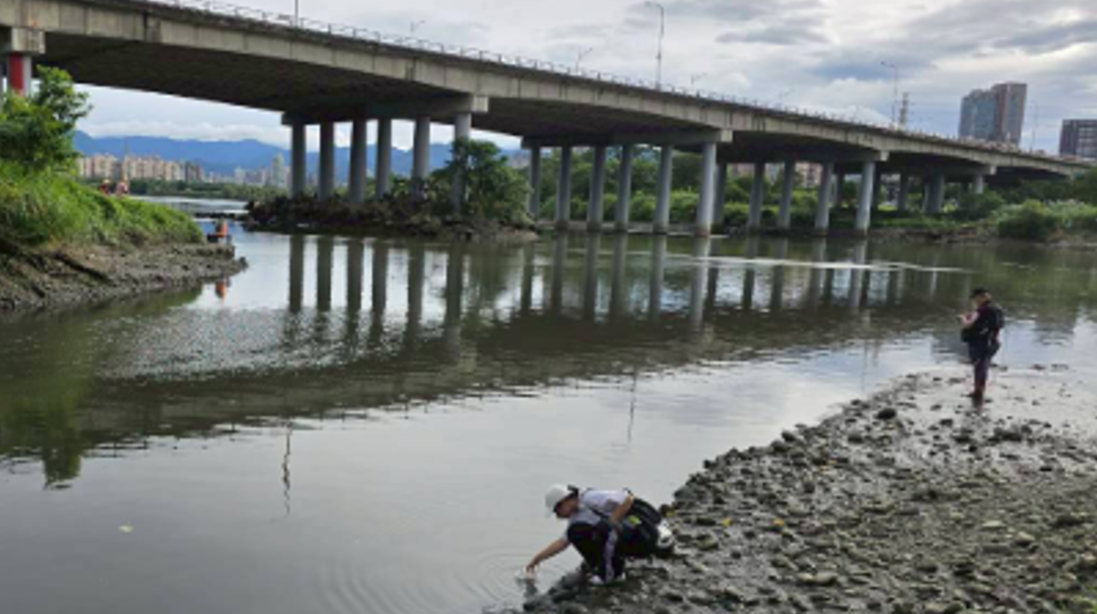 Students collecting water samples