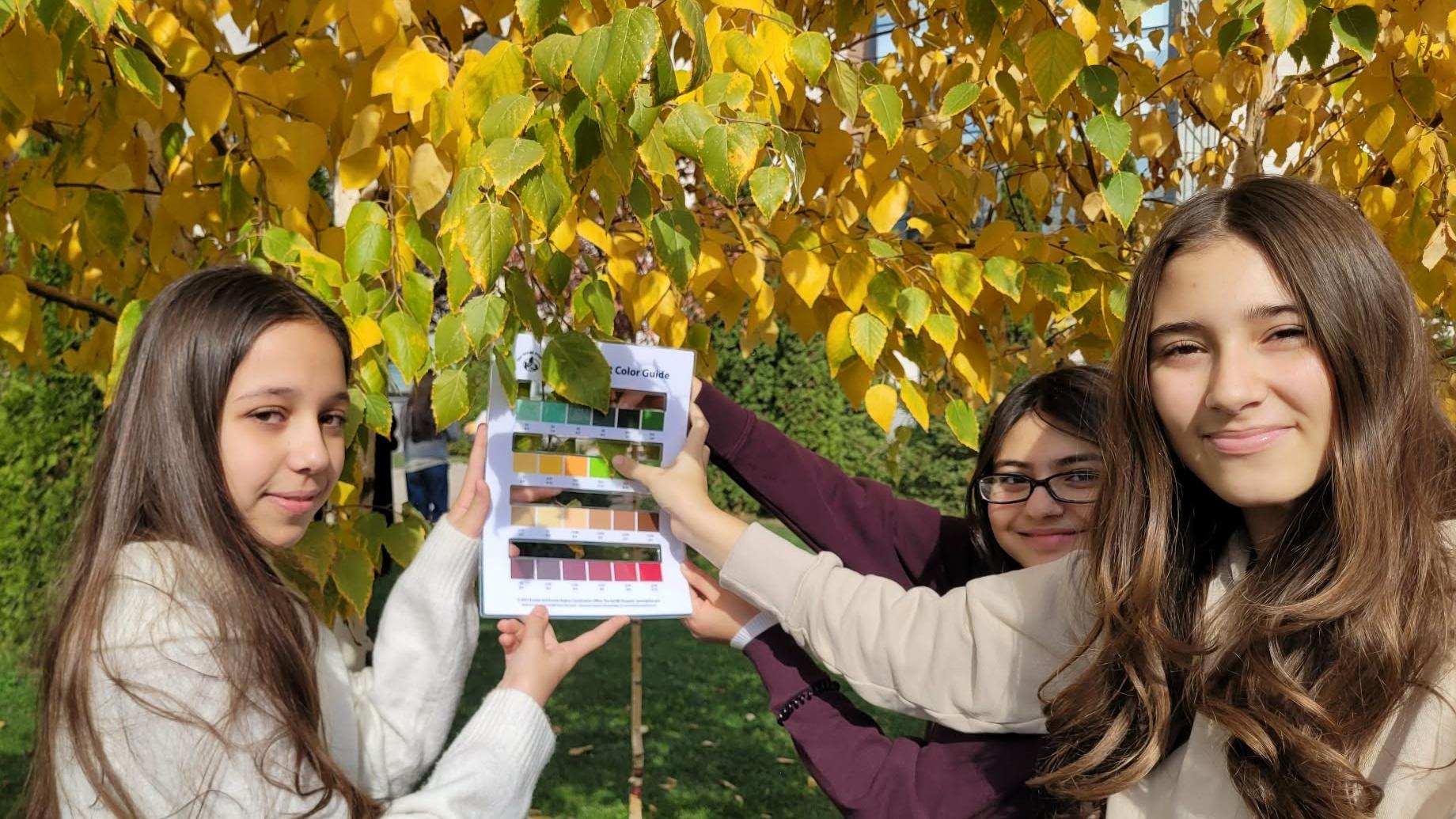 Students compare leaf colors with the Plant Color Guide.