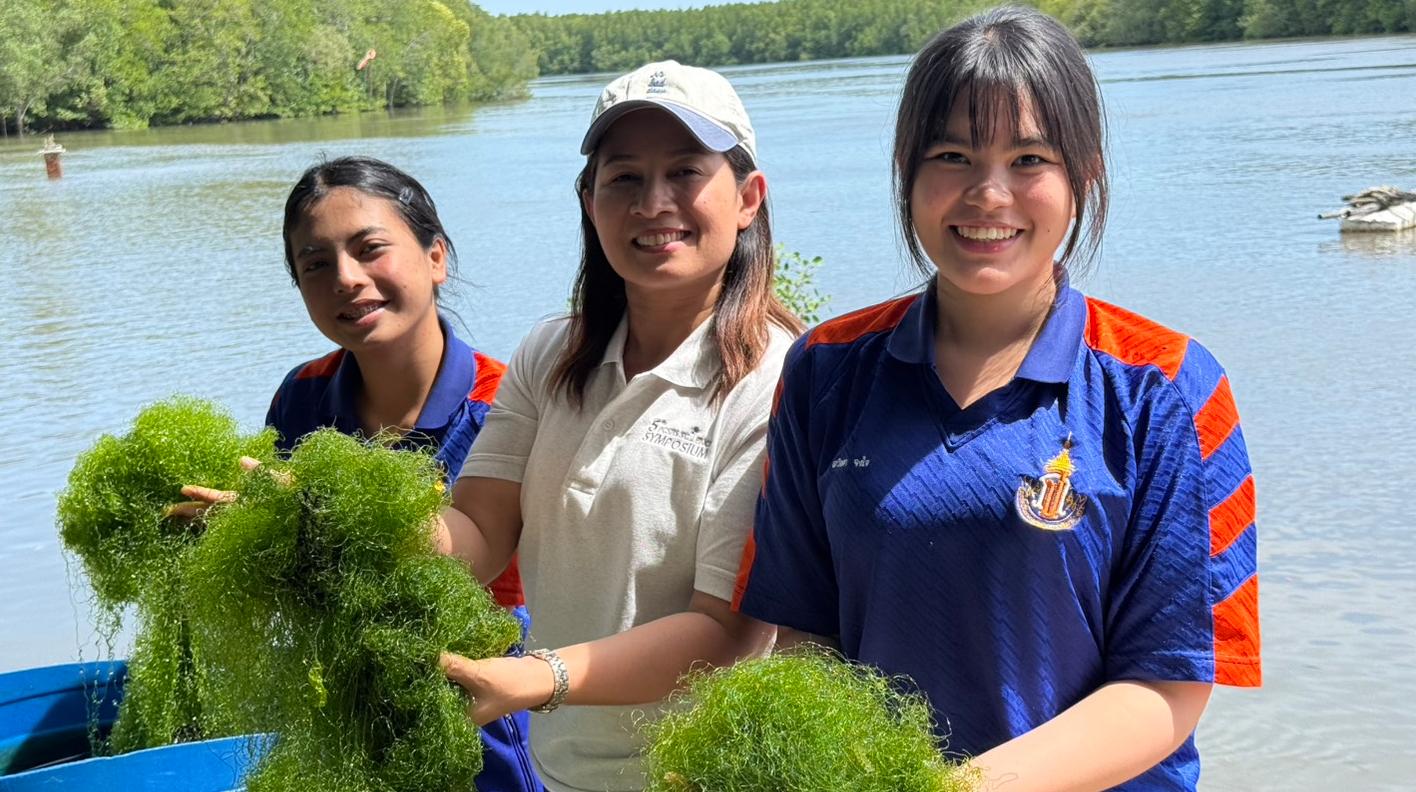This cover image shows the collection of seaweed samples, including Ulva intestinalis and Caulerpa sertularioides, from a natural water source. The samples were collected for a comparative study on their growth and efficiency in treating wastewater from shrimp farming ponds. The activity represents the fieldwork process prior to laboratory analysis