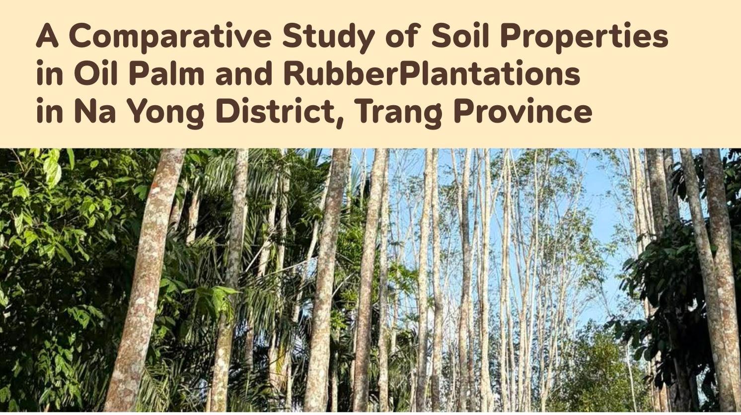 A Comparative Study of Soil Properties  in Oil Palm and RubberPlantations   in Na Yong District, Trang Province