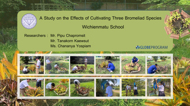 measuring soil moisture content ,Measuring soil pH ,Measuring NPK levels in soil,Determining the water storage capacity of bromeliad plants.