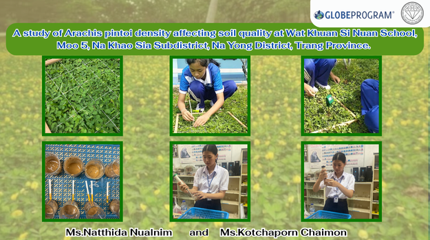 Measure the density of the Arachis pintoi. Soil quality was evaluated by measuring nitrogen(N), phosphorus (P), and potassium (K) .Soil moisture content , soil salinity ,soil temperature and soil pH were also measured to assess the overall soil quality of the study area.