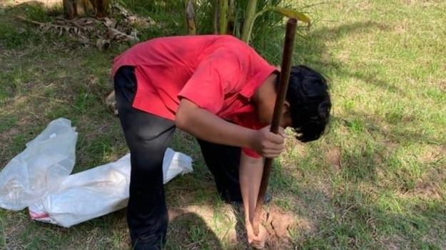 This student is digging the soil to test the amount of essential nutrients it contains.