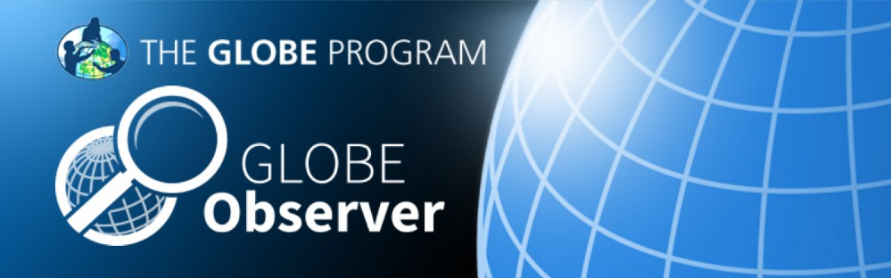 GLOBE Observer logo, with text reading,“The Globe Program, Globe Observer.