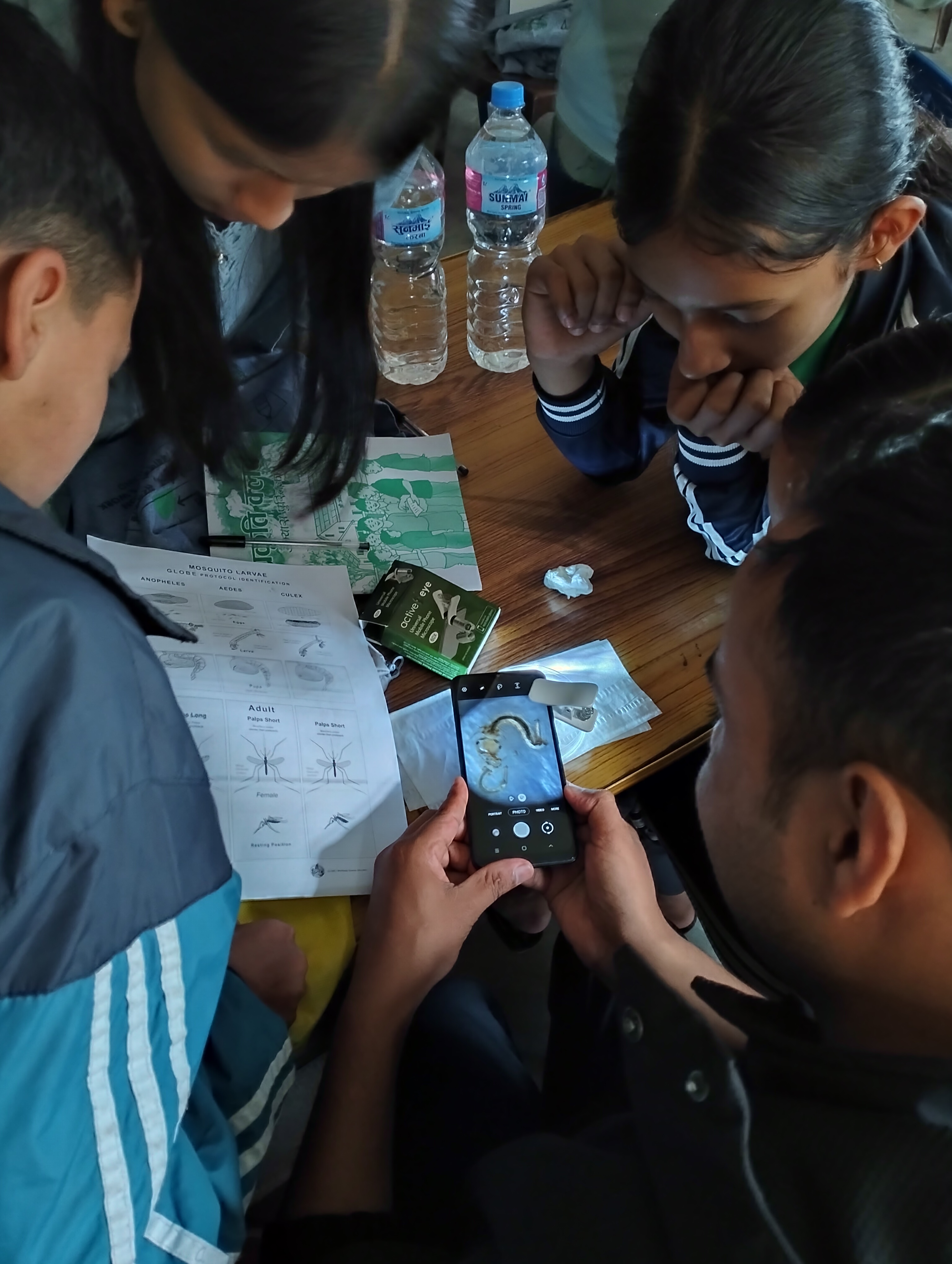 Mosquito Larva study by students in Jhapa, nepal