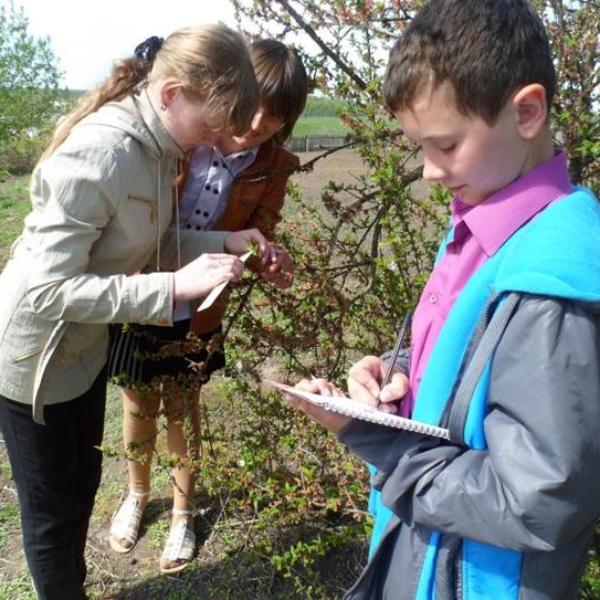 Two students stand outside with a teacher. One child is taking notes while the other two people examine leaves on a tree.