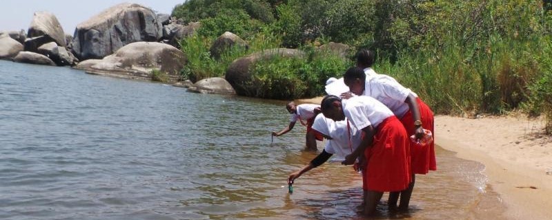 Students stand outside in shallow water, dipping measuring instruments into the water.