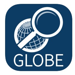 Icon of a magnifying glass over a globe.