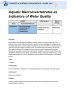 Learning Activities preview for Aquatic Macroinvertebrates as Indicators of Water Quality