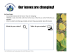 Learning Activities preview for K-2 GLOBE Grandma- Lesson 1- Our Leaves are Changing.pdf