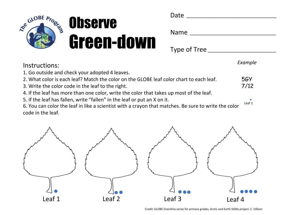 Learning Activities preview for K-2 GLOBE Grandma- Lesson 3- Measure Snow Depth.pdf