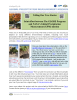 Learning Activities preview for Telling Tree Story one-pager.FINAL[2].pdf