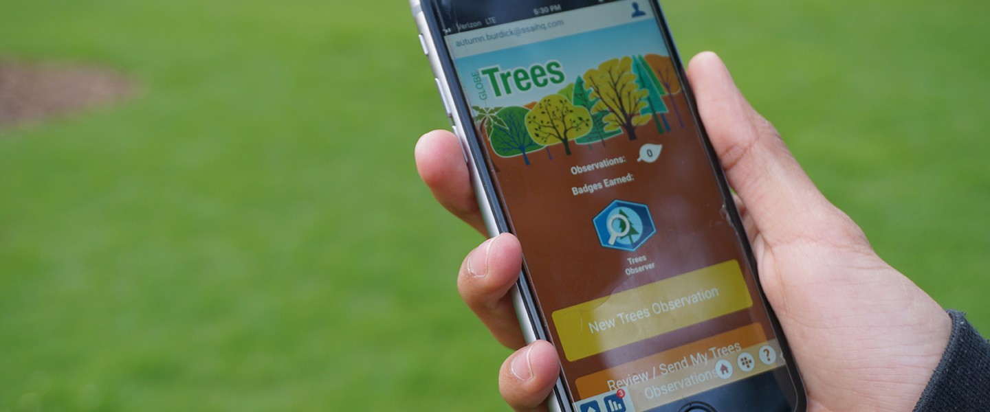 A hand is seen holding a mobile phone above a green background.