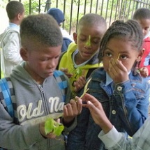 Three young students look at leaves.
