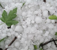 Hail Storm Mendoza