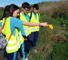 Students measuring surface temperature using an InfraRed Thermometer