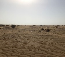 Desertification and global warming