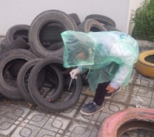 Take a larvae mosquito sample in school - Chu van an Thanh Tri, Hanoi