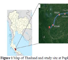 Figure 1 Map of Thailand and study site at Paphayom flow in Patthalung province, Thailand Table 2 The organisms were found in Papayom canal, Phatthalung, Thailand