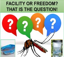 mosquito preference, free artificial breeding sites, traps,