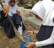 The place of the study