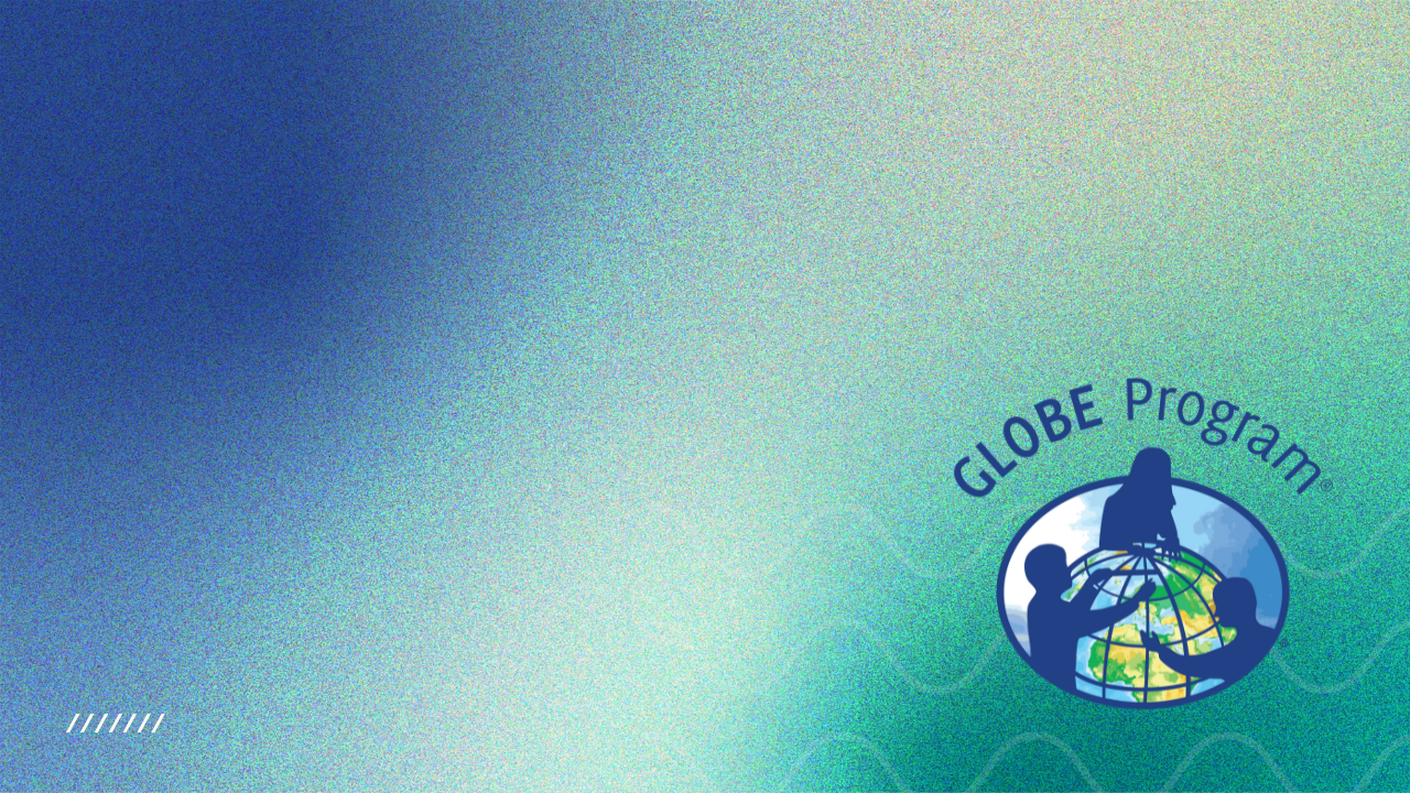 Preview of virtual background