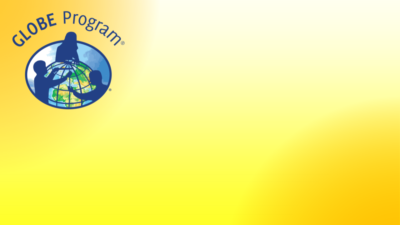 Preview of virtual background