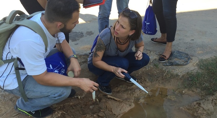 Teachers collecting mosquito larvae samples.