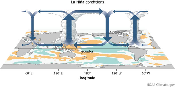 ENSO Graphic