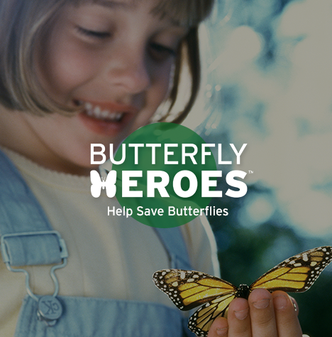 NWF Butterfly Heroes Webinar Graphic
