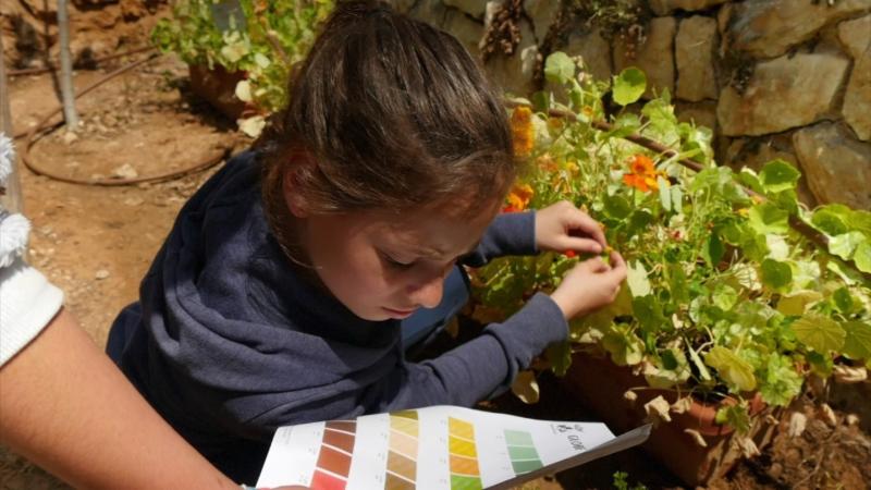 Child experimenting with a plant and looking at a paper. 