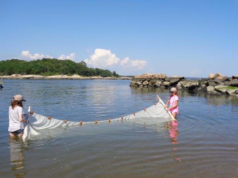 Students doing hydrology protocols