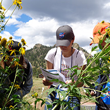 Three adults write in notebooks near flowers.