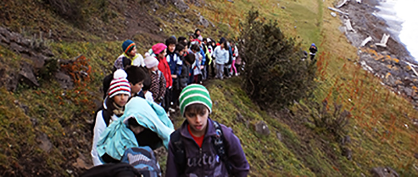 Several children hike on a hillside that overlooks water.